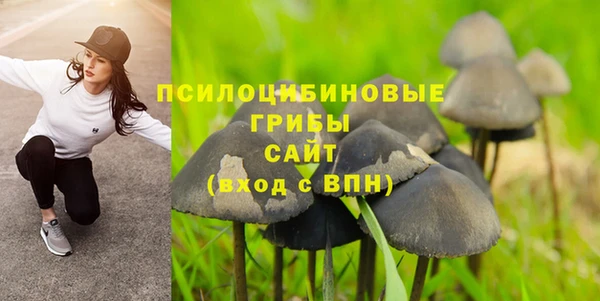 синтетический гашиш Бородино