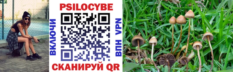 продажа наркотиков  Кандалакша  Галлюциногенные грибы Cubensis 